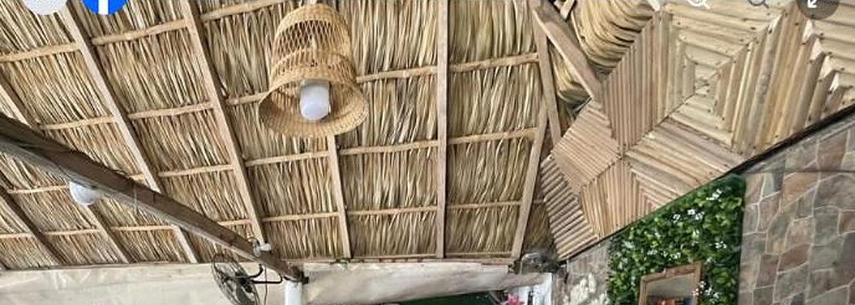Techo de palma de Palapa Mauricio